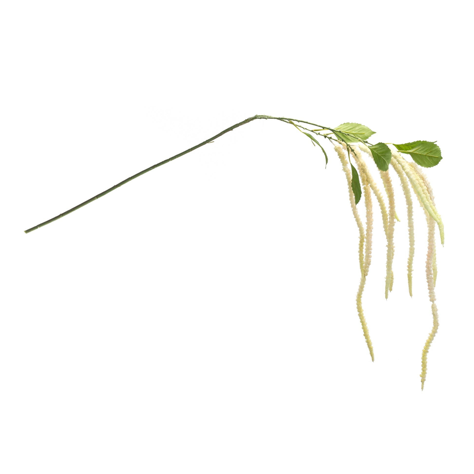 Amaranthus Floral Stem (Set of 4) alternate view 2