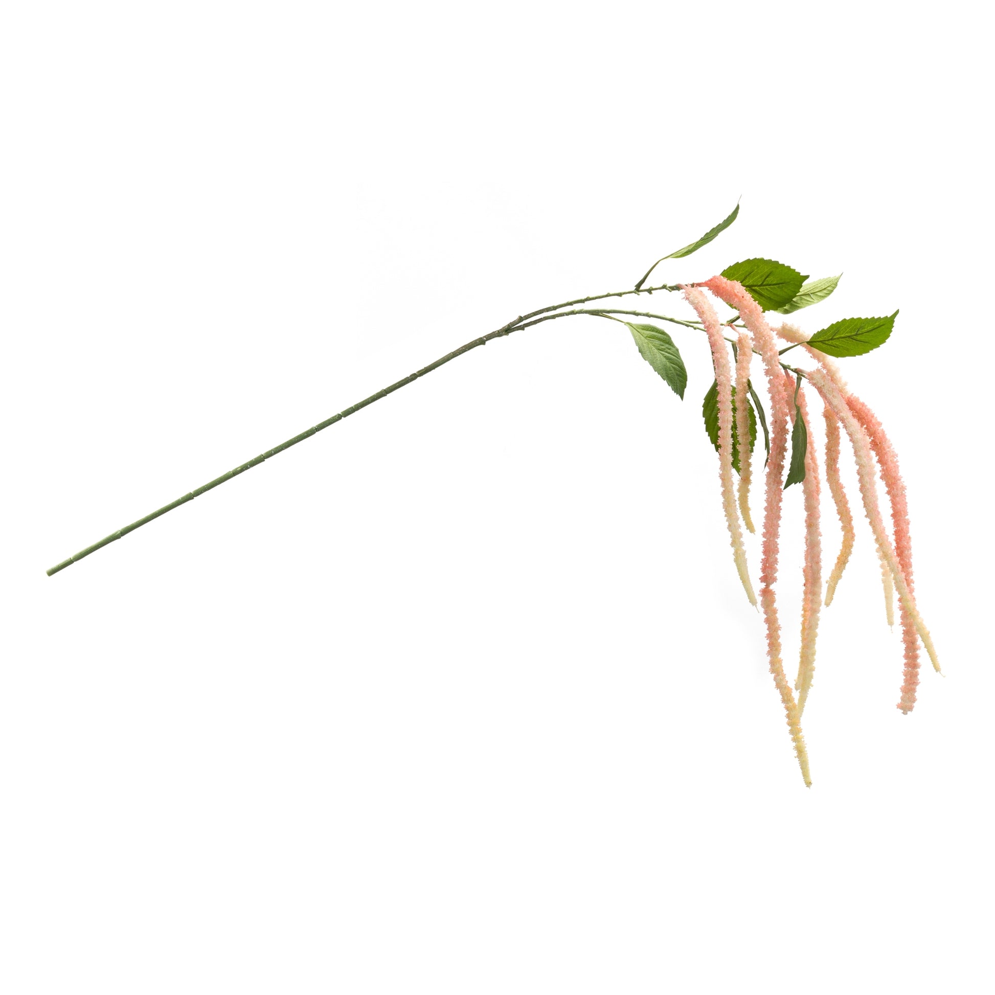 Amaranthus Floral Stem (Set of 4) alternate view 2