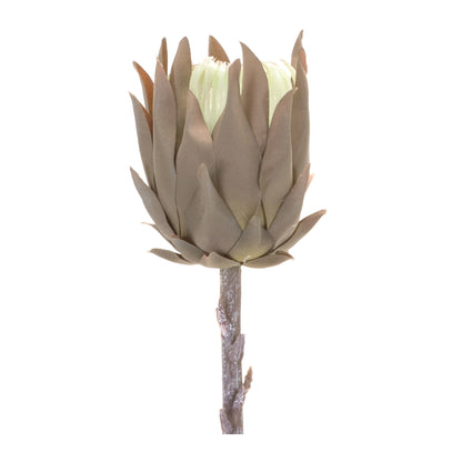 Beige Protea Stem (Set of 6) alternate view 2