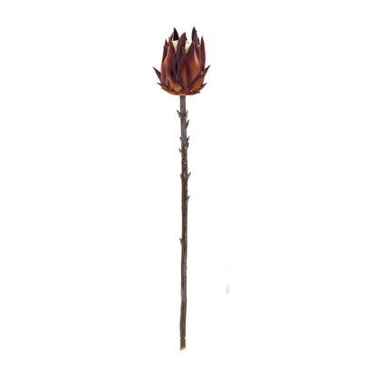 Burgandy Protea Stem (Set of 6) alternate view 3