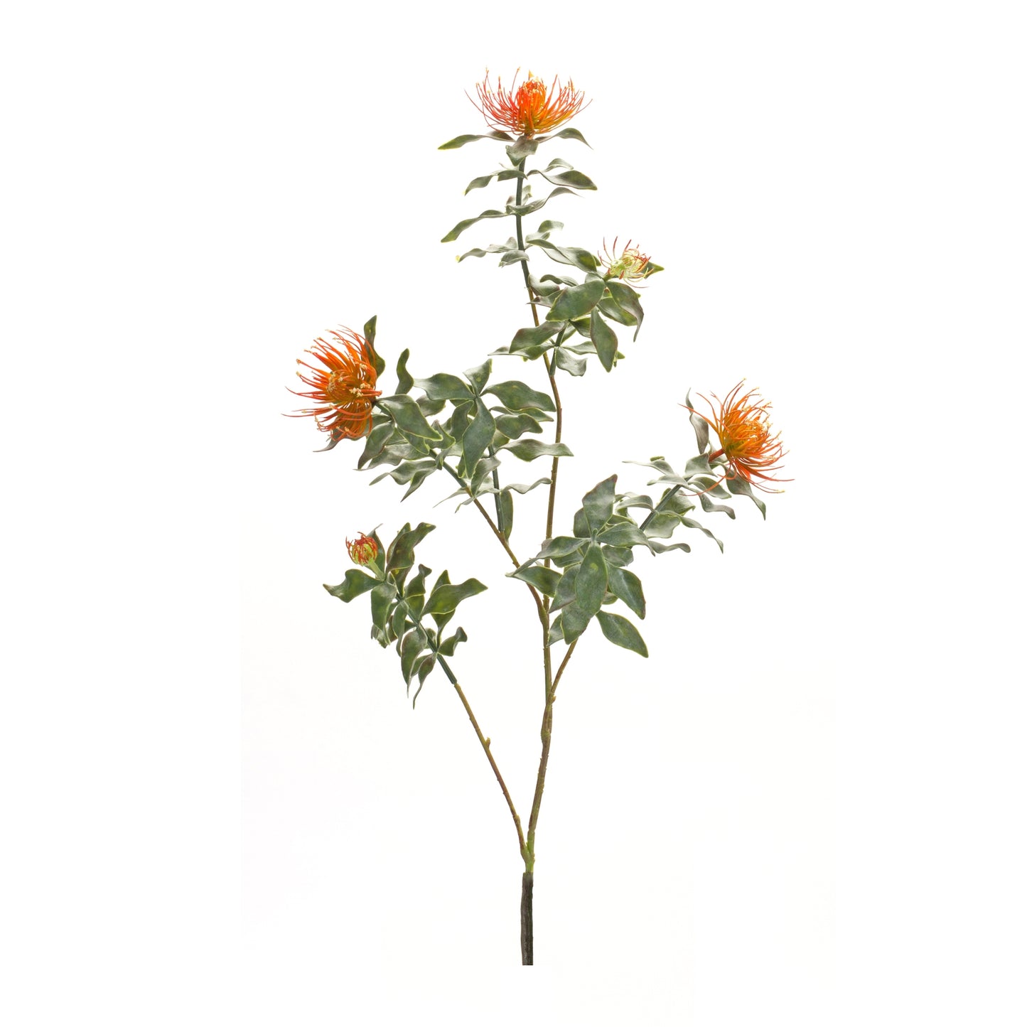 Orange Flocked Protea Spray (Set of 6) alternate view 2
