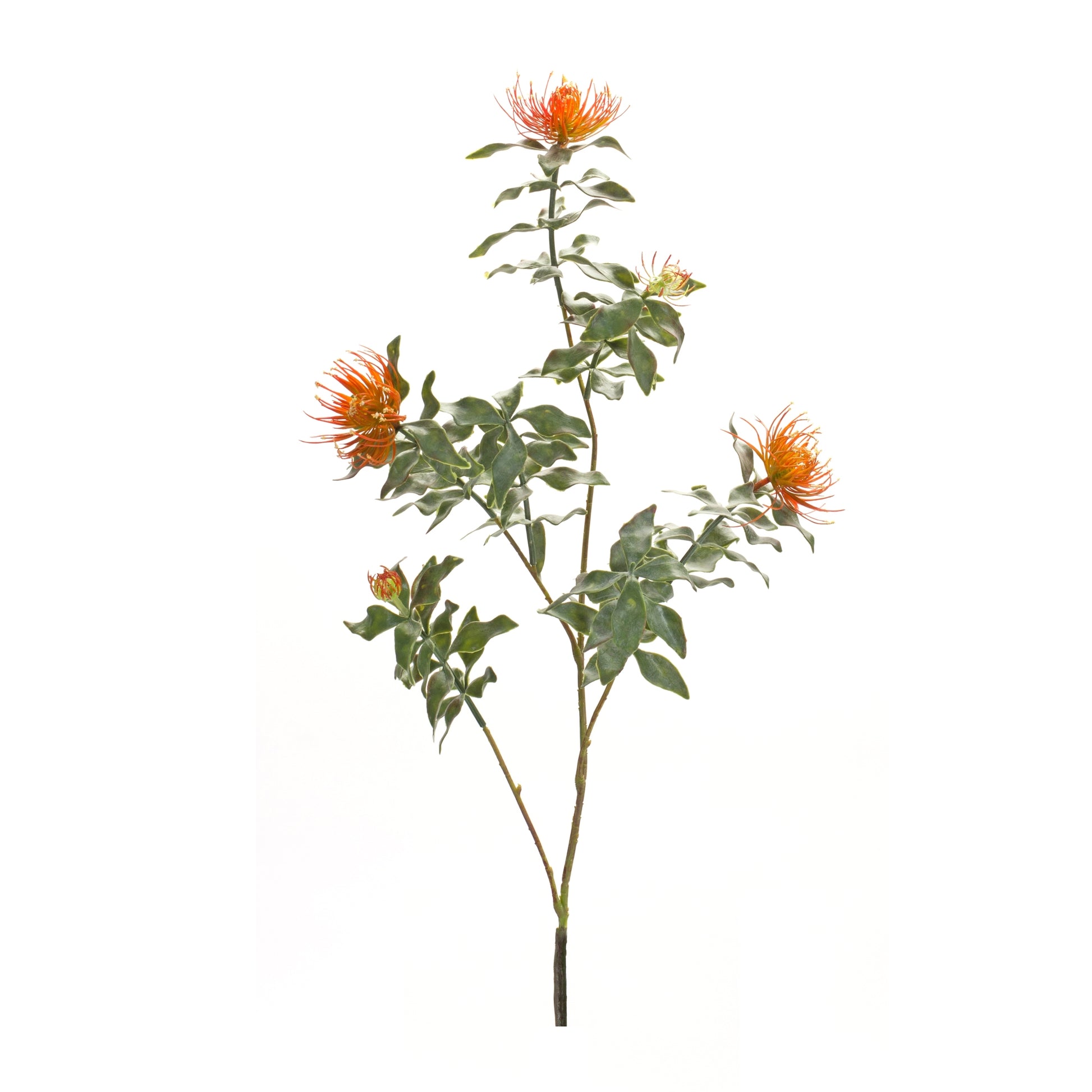 Orange Flocked Protea Spray (Set of 6) alternate view 2