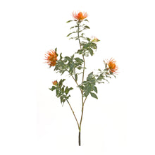 Orange Flocked Protea Spray (Set of 6) alternate view 2