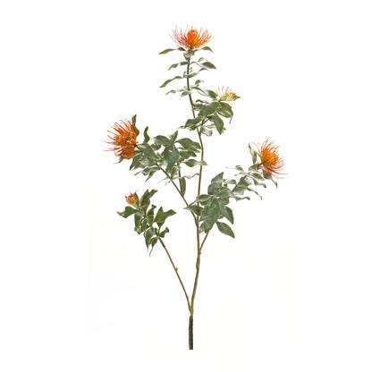 Orange Flocked Protea Spray (Set of 6) alternate view 2