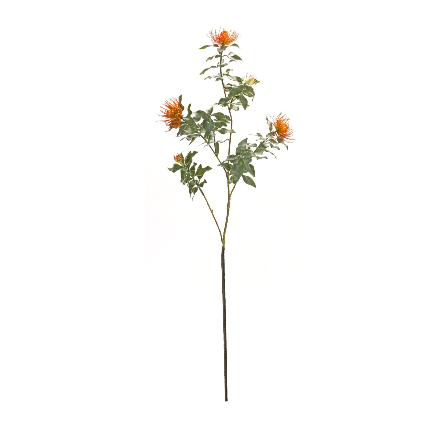 Orange Flocked Protea Spray (Set of 6) alternate view 3