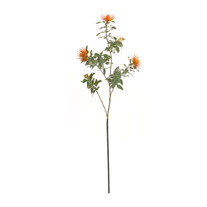 Orange Flocked Protea Spray (Set of 6) alternate view 3