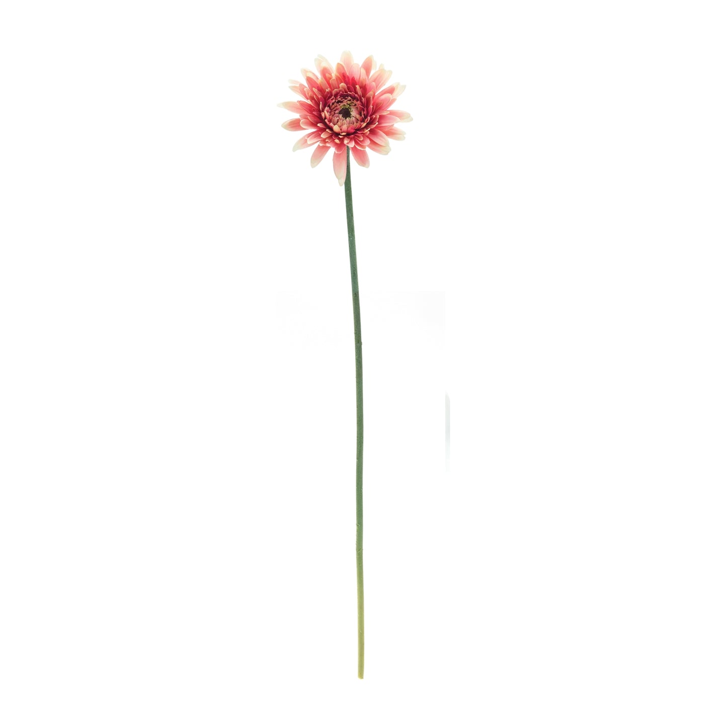 Gerbera Daisy Floral Stem (Set of 6) alternate view 2