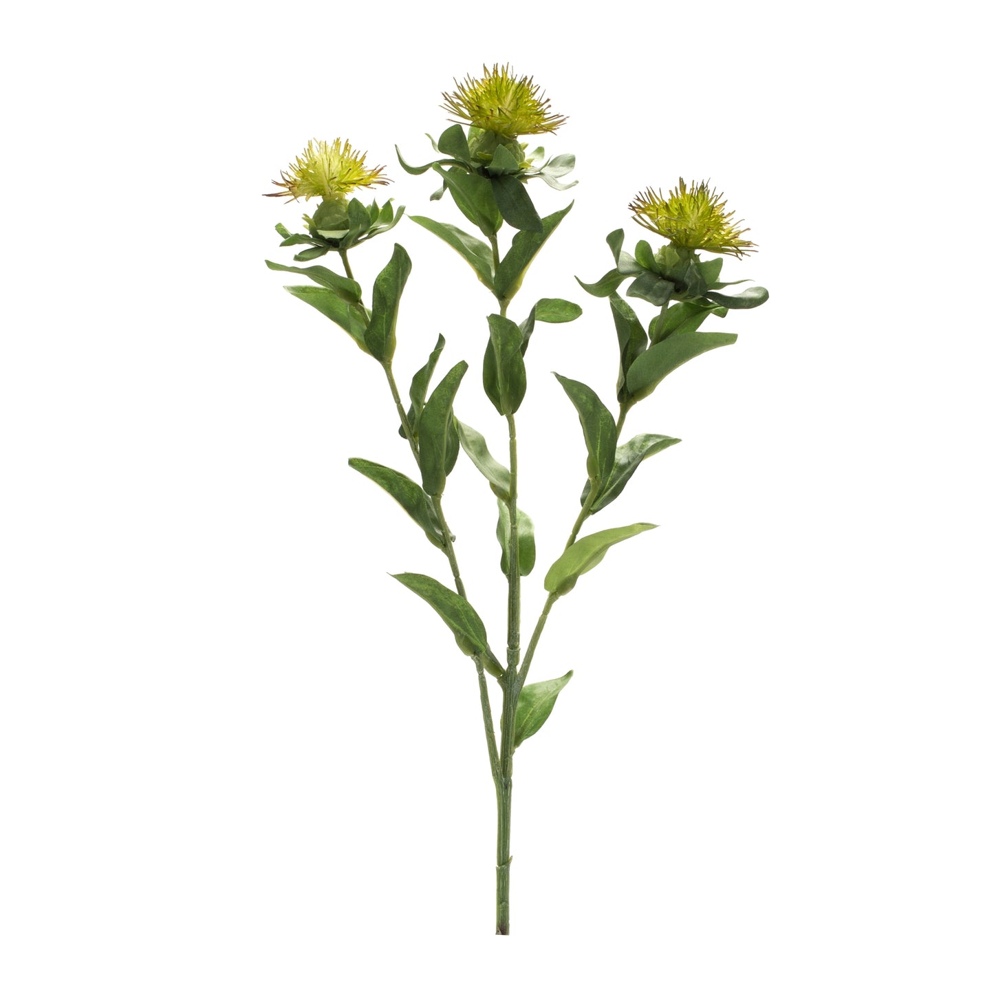 Green Thistle Floral Spray (Set of 6) alternate view 2