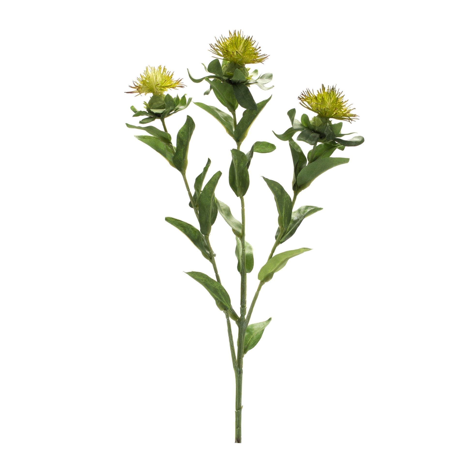 Green Thistle Floral Spray (Set of 6) alternate view 2