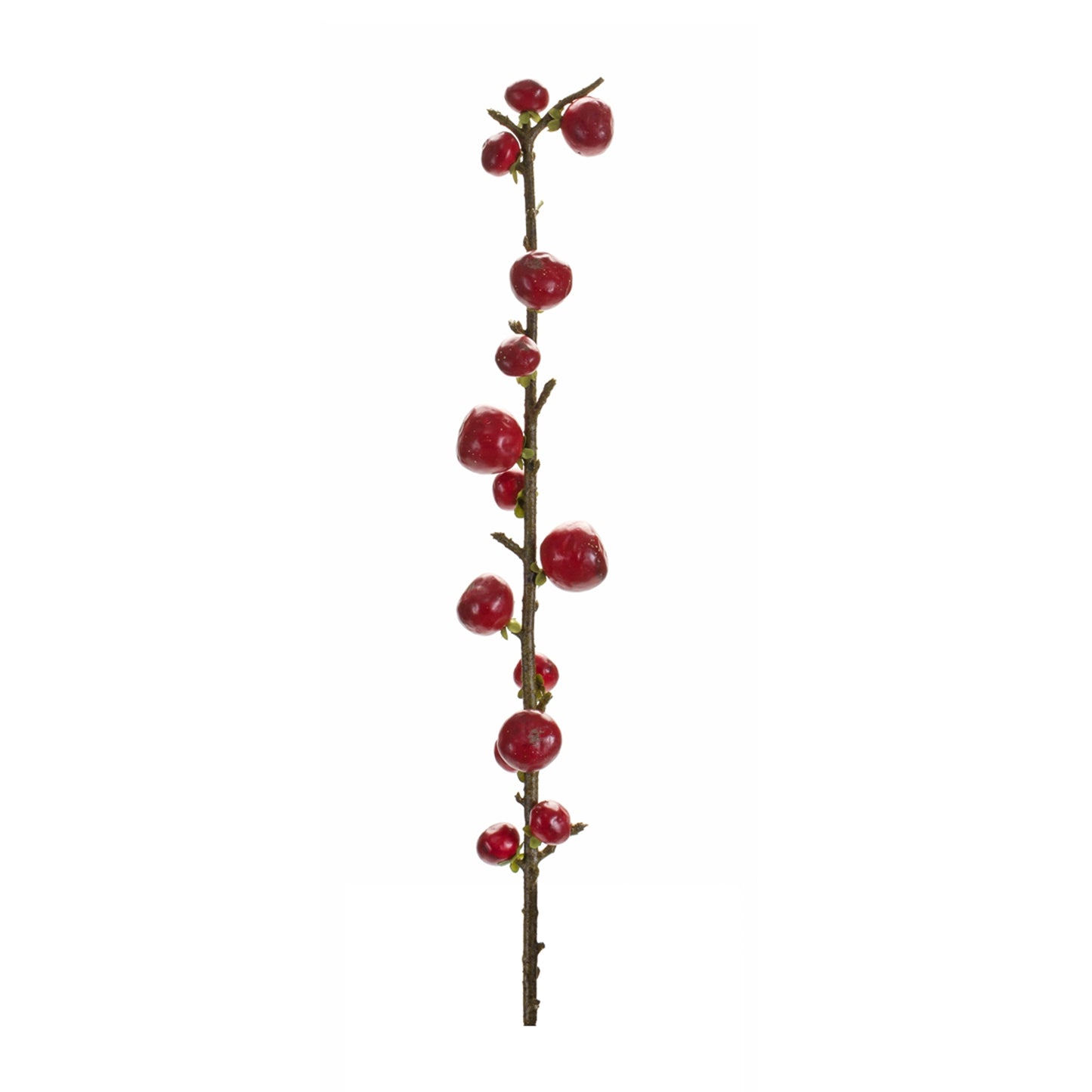 Red Berry Twig Stem (Set of 6) alternate view 2