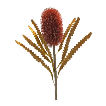 Burnt Orange Banksia Floral Stem (Set of 6) alternate view 2