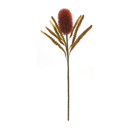 Burnt Orange Banksia Floral Stem (Set of 6) alternate view 3