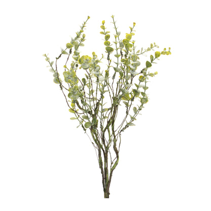 Boxwood Twig Foliage Spray (Set of 6) alternate view 3