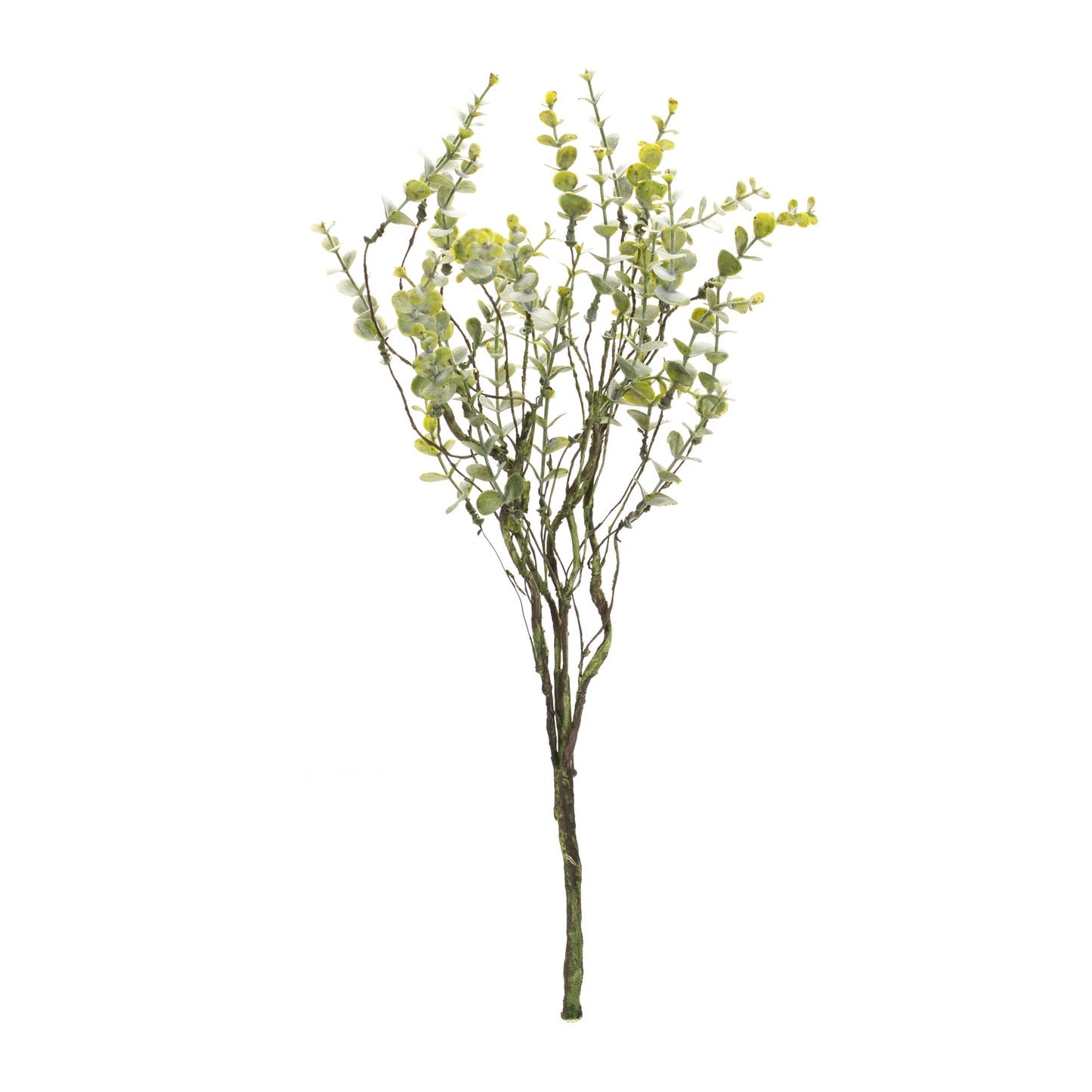 Boxwood Twig Foliage Spray (Set of 6) alternate view 4