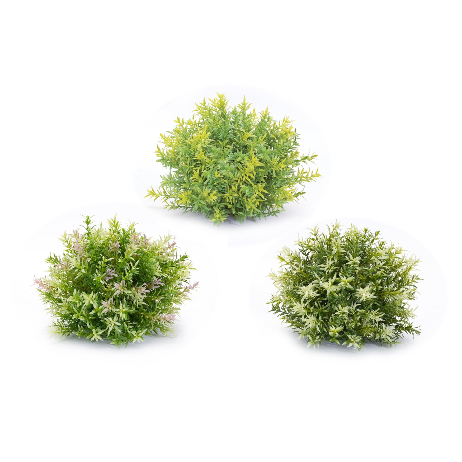 Varigated Mini Leaf Half Orb (Set of 6) alternate view 2