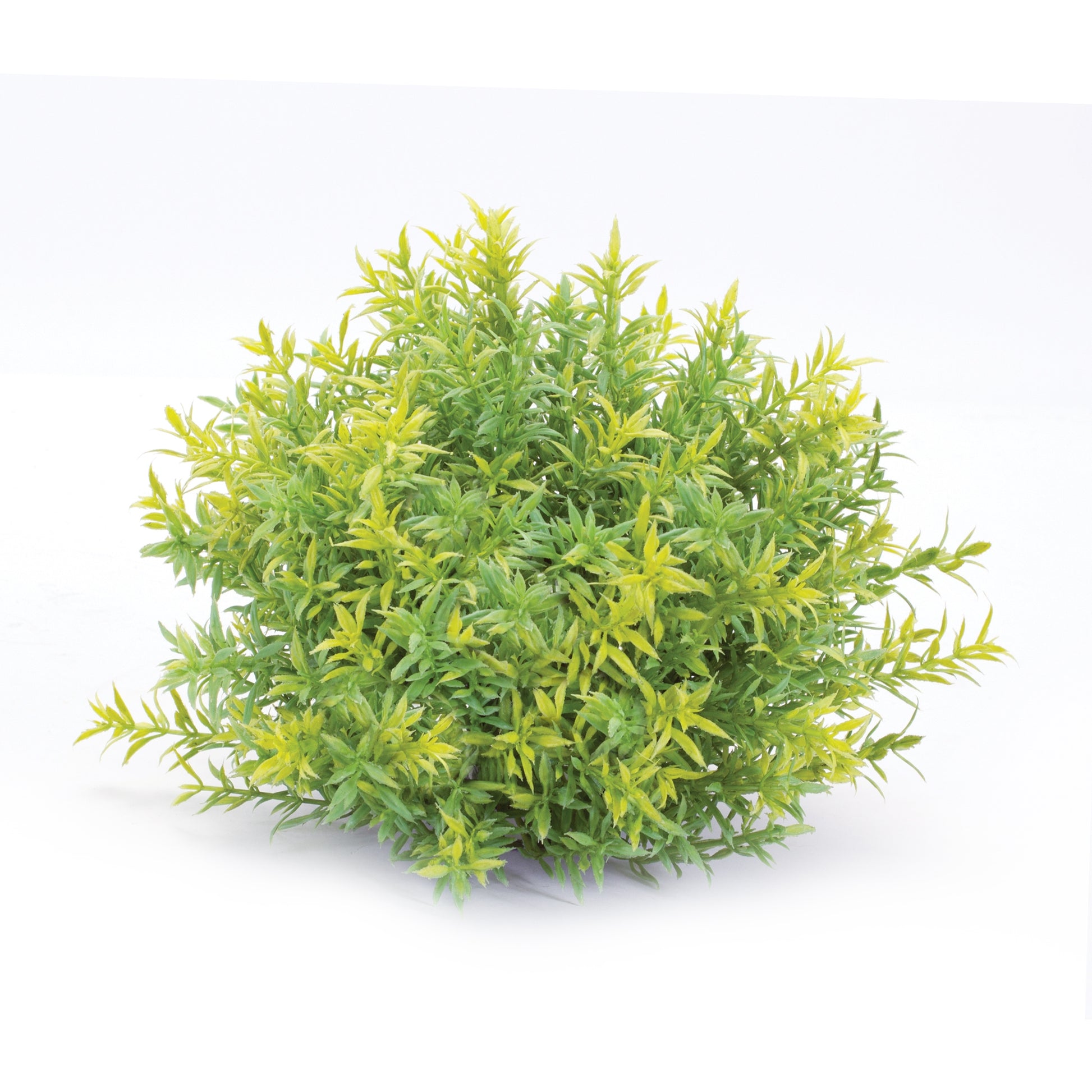 Varigated Mini Leaf Half Orb (Set of 6) alternate view 4