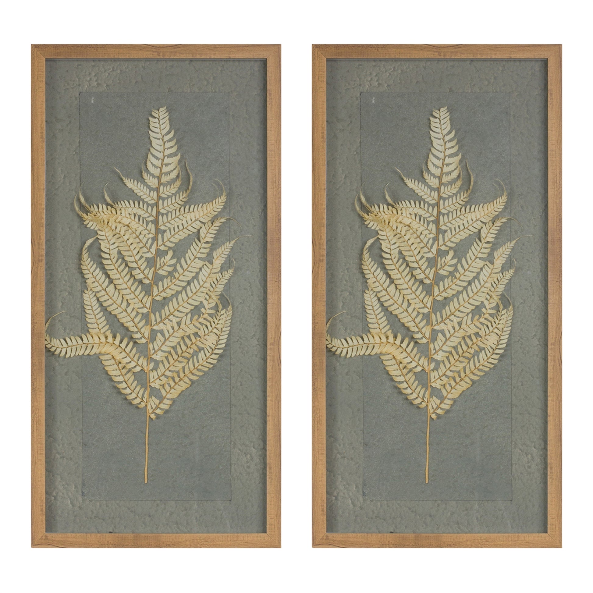 Dried Fern Frame (Set of 2) alternate view 2