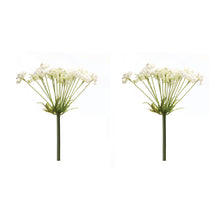 Queen Anne's Lace Stem (Set of 2) alternate view 2