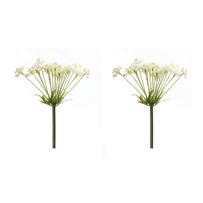 Queen Anne's Lace Stem (Set of 2) alternate view 2