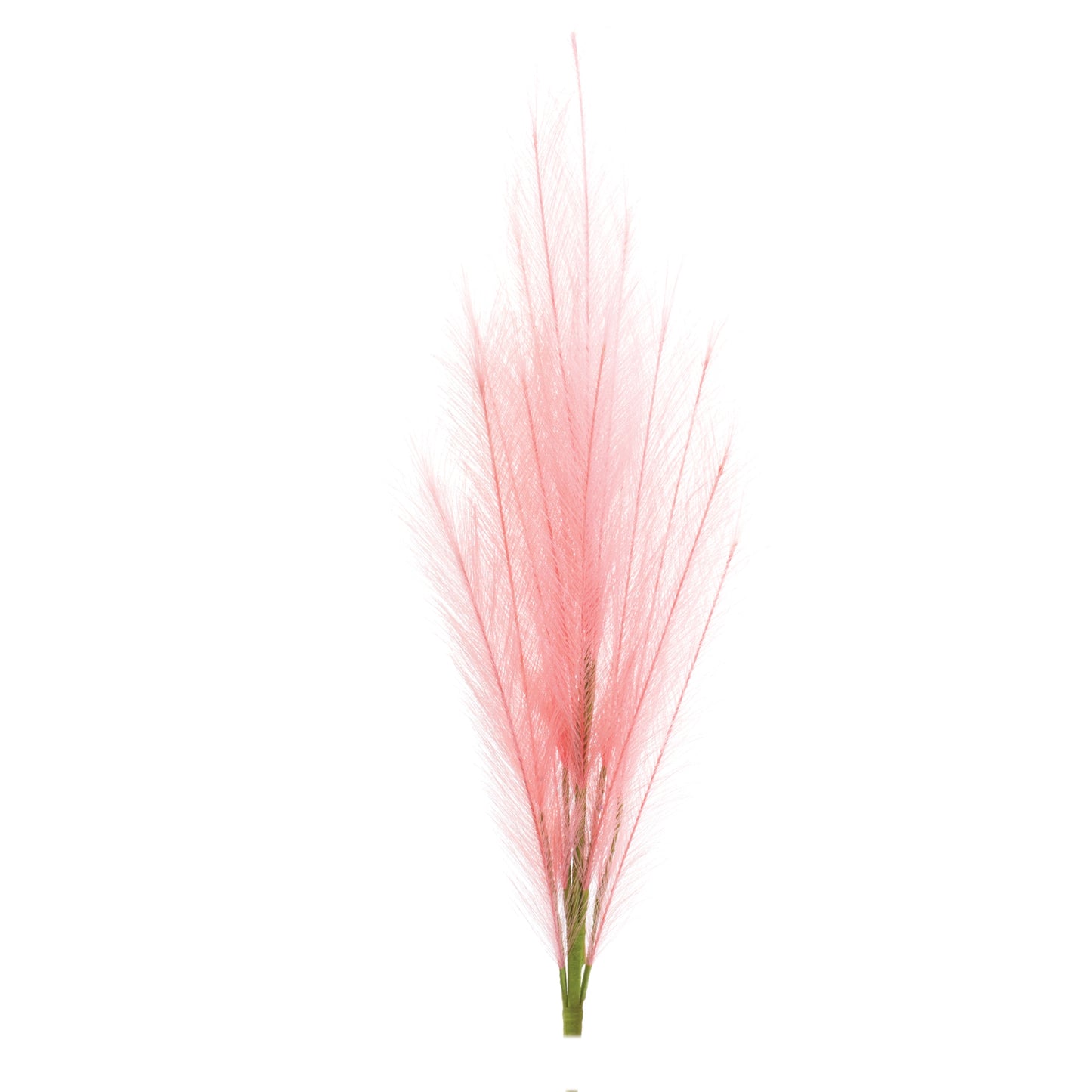 Assorted Pink Plume Spray (Set of 3) alternate view 4