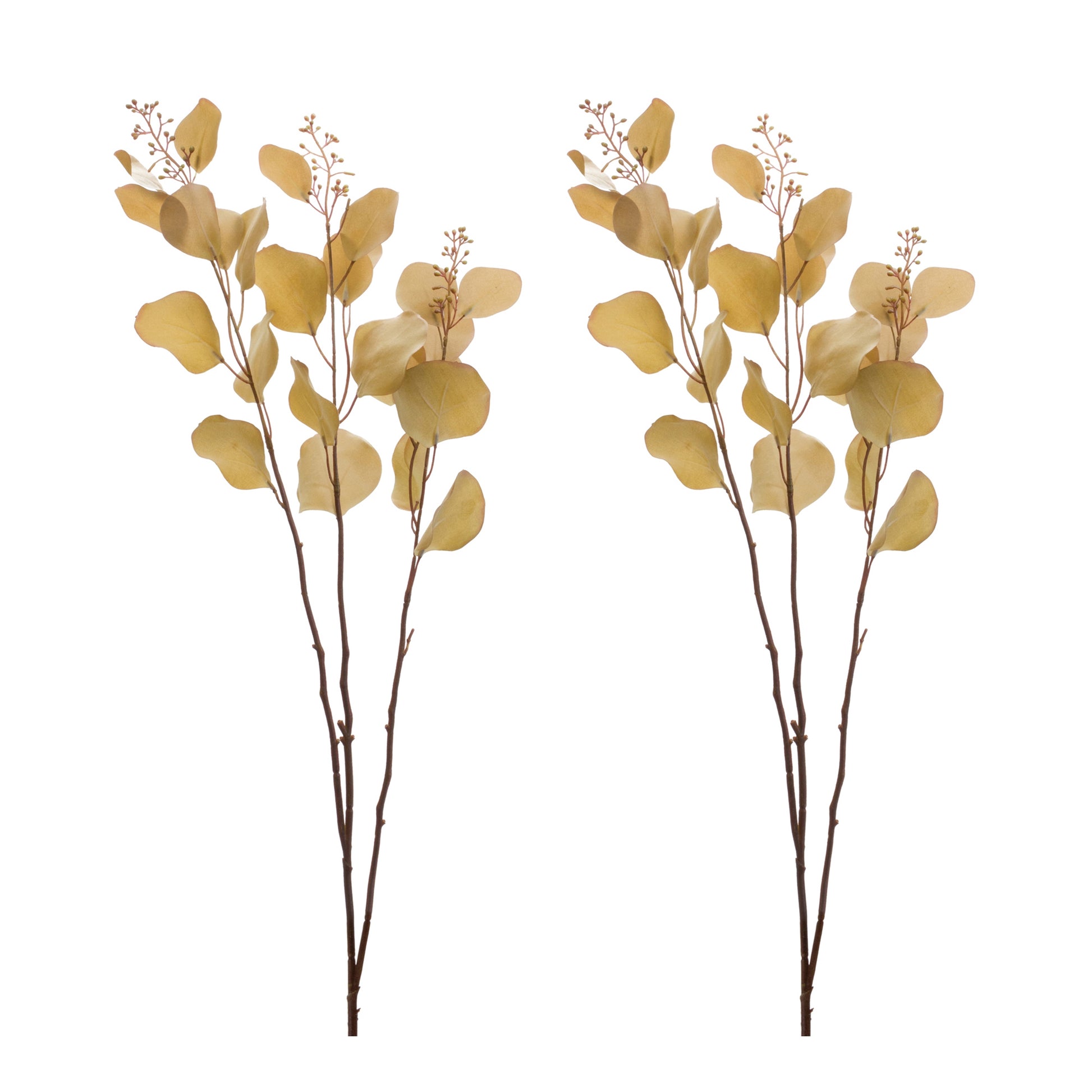 Seeded Eucalyptus Stem (Set of 2) alternate view 3