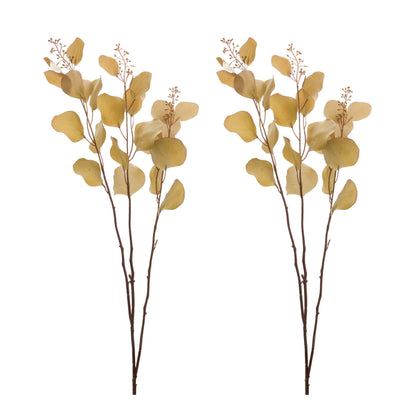 Seeded Eucalyptus Stem (Set of 2) alternate view 3