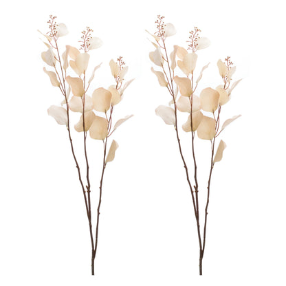 Seeded Eucalyptus Stem (Set of 2) alternate view 4