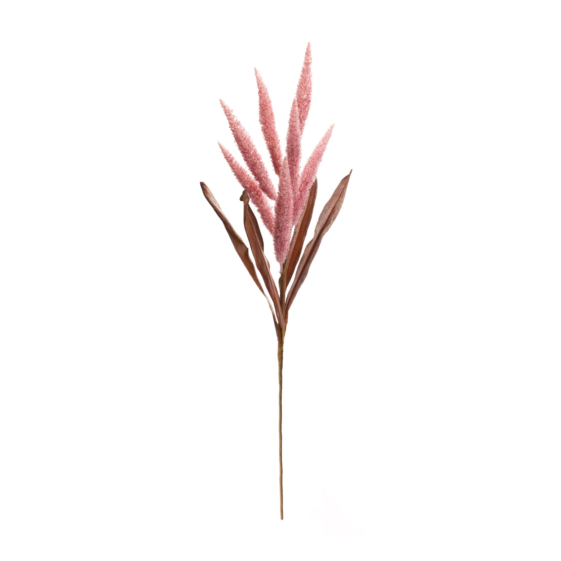 Foxtail Plume Stem (Set of 2) alternate view 2