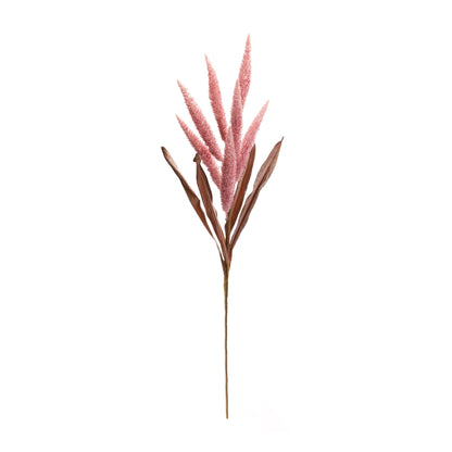 Foxtail Plume Stem (Set of 2) alternate view 2