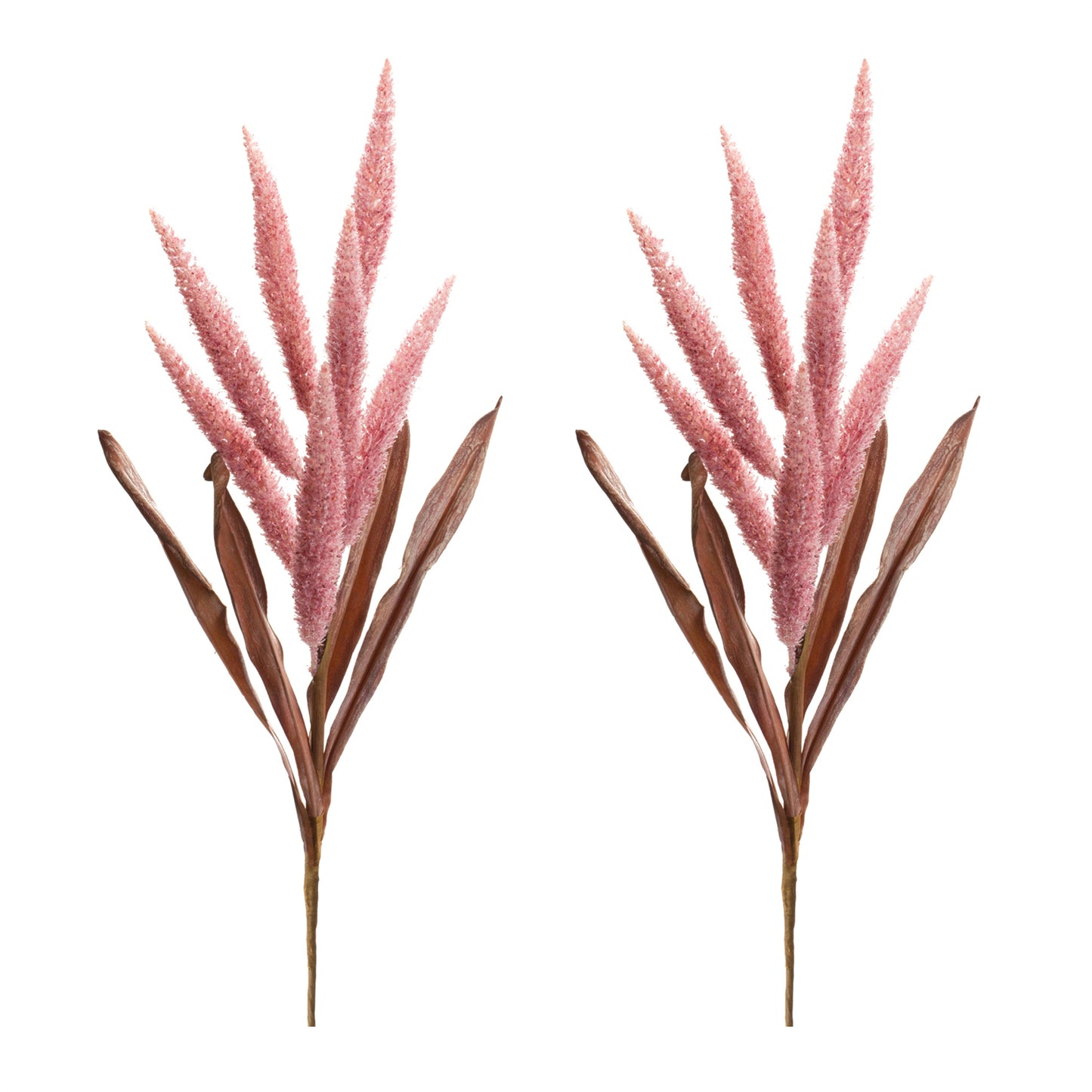 Foxtail Plume Stem (Set of 2) alternate view 3