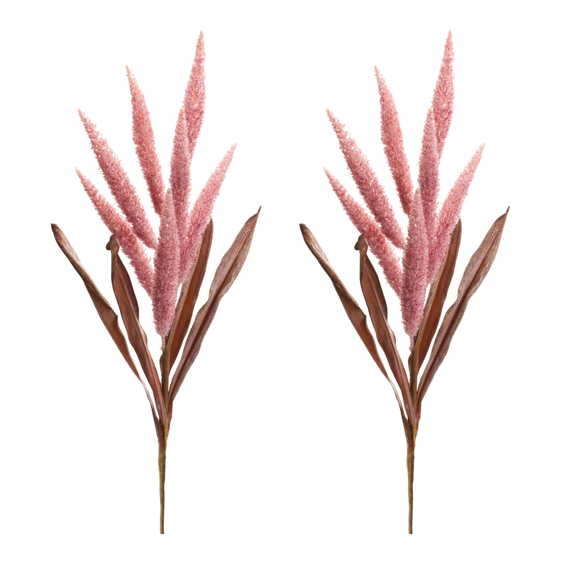 Foxtail Plume Stem (Set of 2) alternate view 3