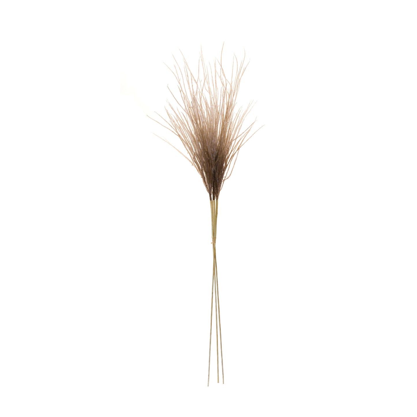 Grass Plume Bundle (Set of 2) alternate view 2