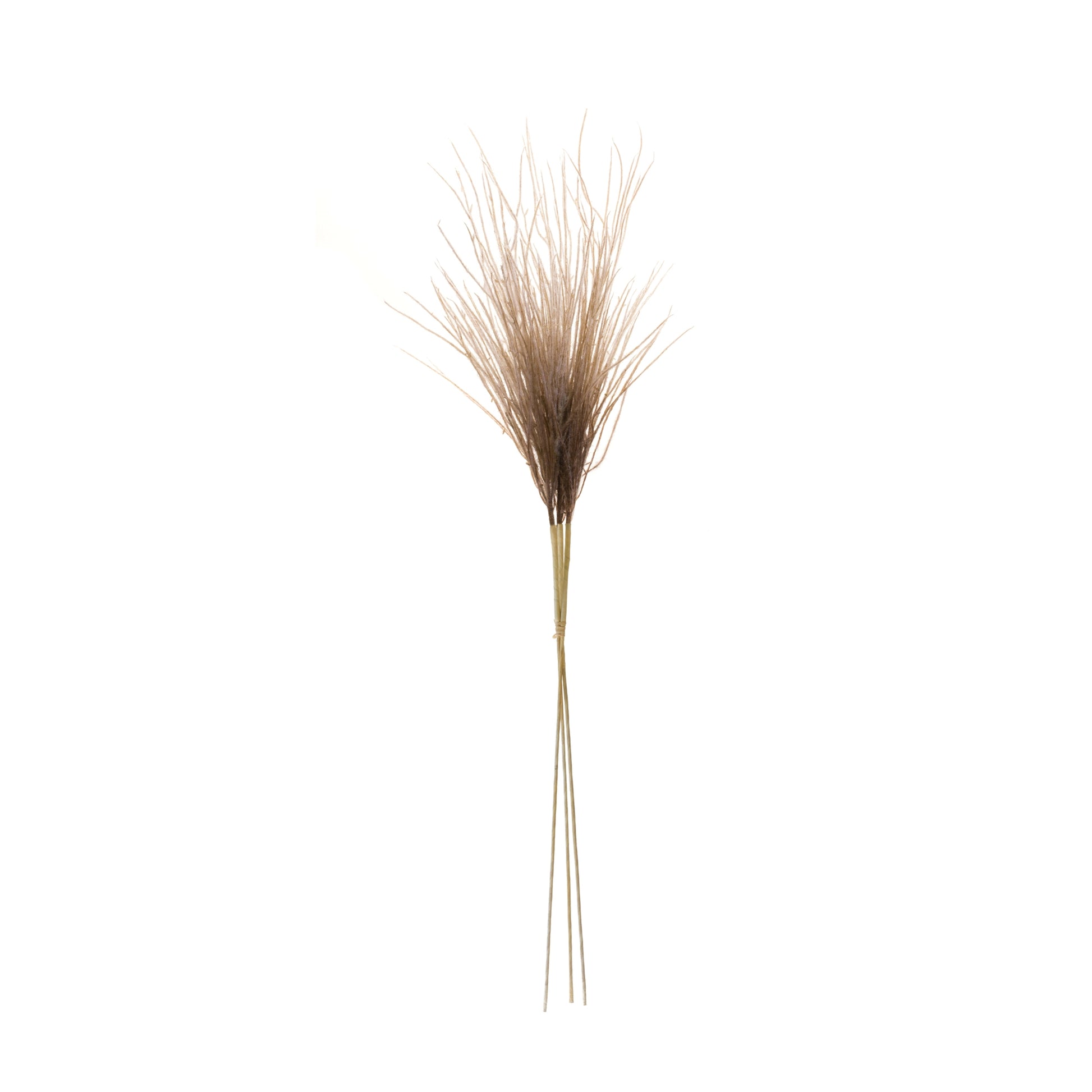 Grass Plume Bundle (Set of 2) alternate view 2