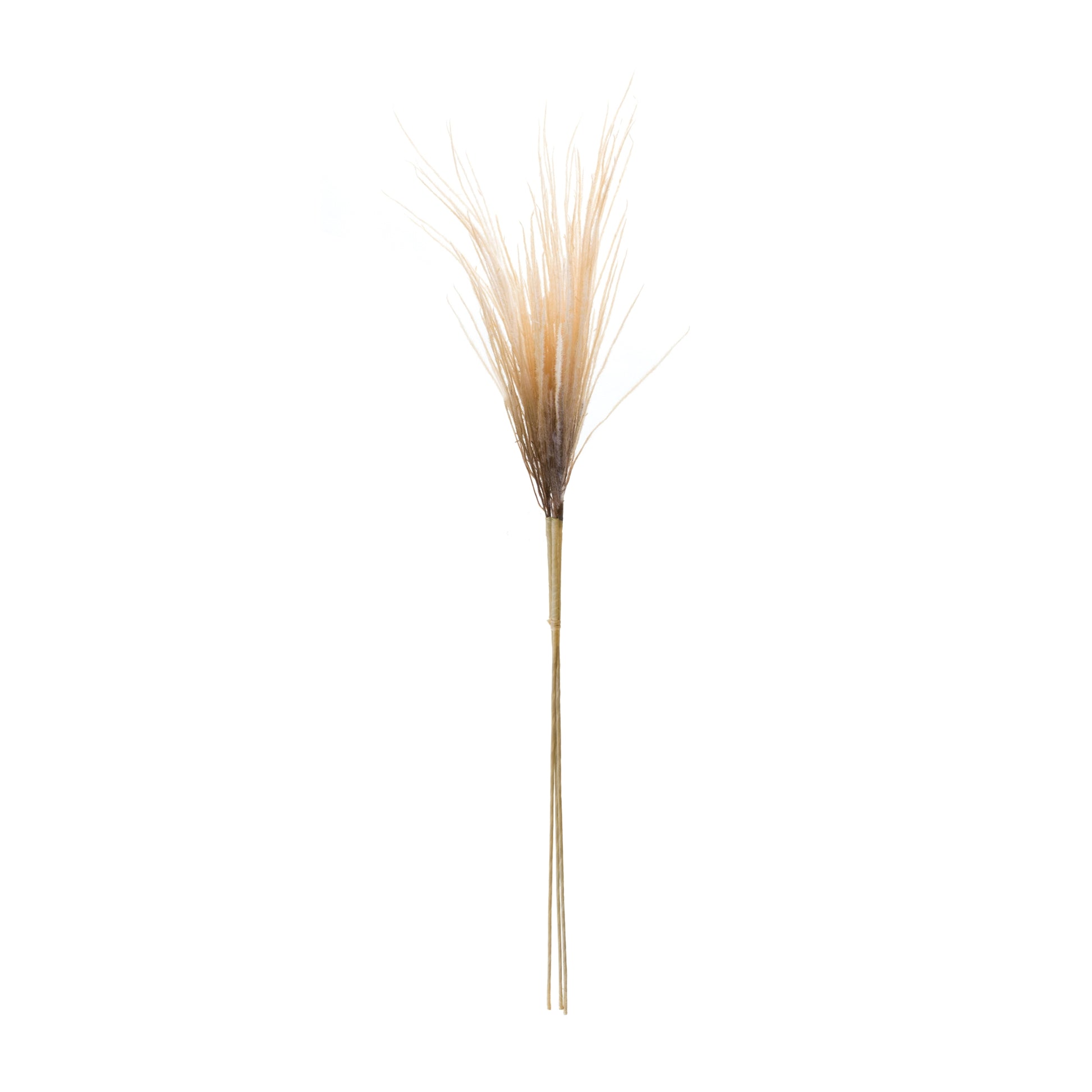 Grass Plume Bundle (Set of 2) alternate view 2