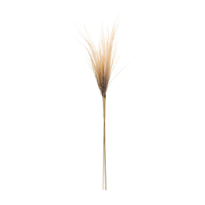 Grass Plume Bundle (Set of 2) alternate view 2