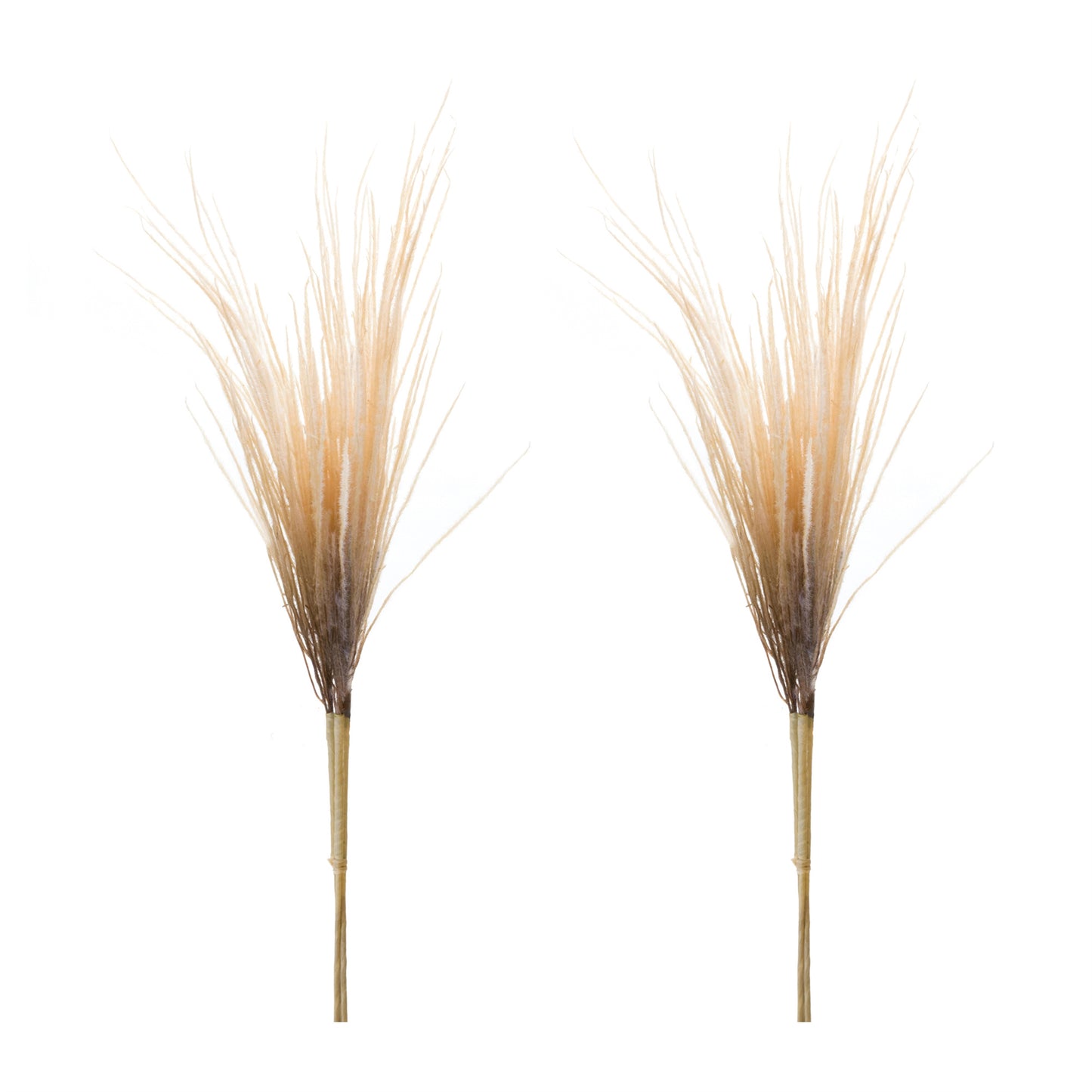 Grass Plume Bundle (Set of 2) alternate view 3