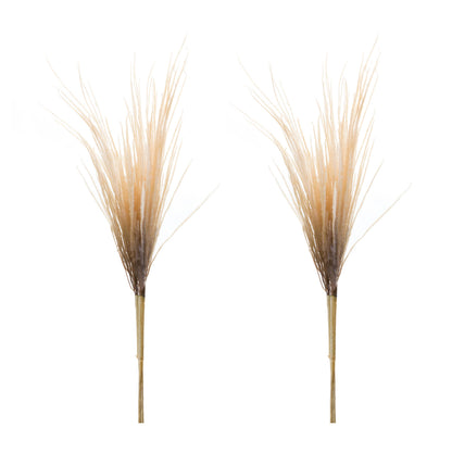 Grass Plume Bundle (Set of 2) alternate view 3