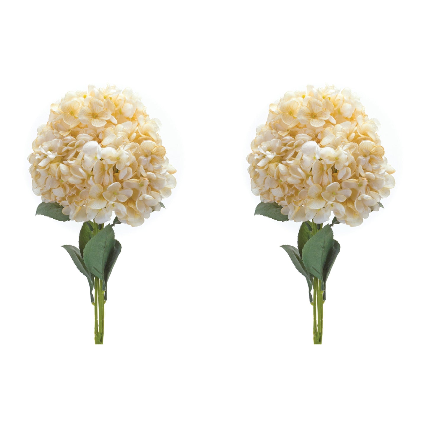 Hydrangea Bush (Set of 2) alternate view 2