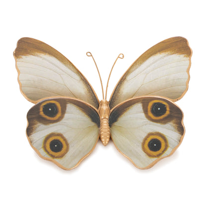 Amber Butterfly and Moth Shelf Sitter (Set of 2) alternate view 3