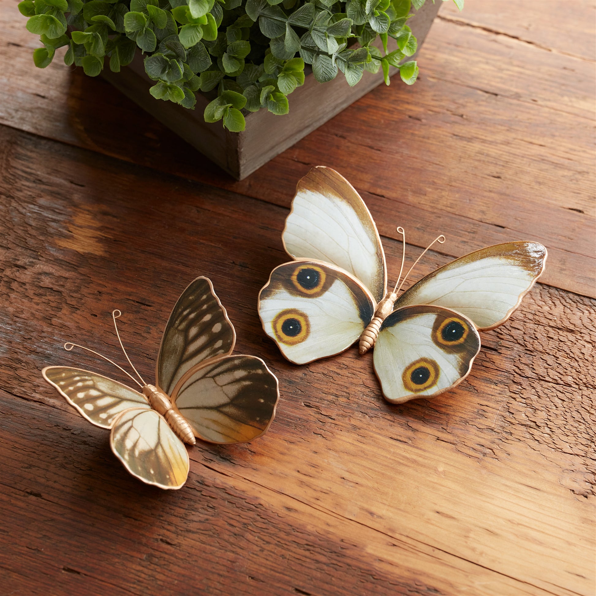 Amber Butterfly and Moth Shelf Sitter (Set of 2) alternate view 2