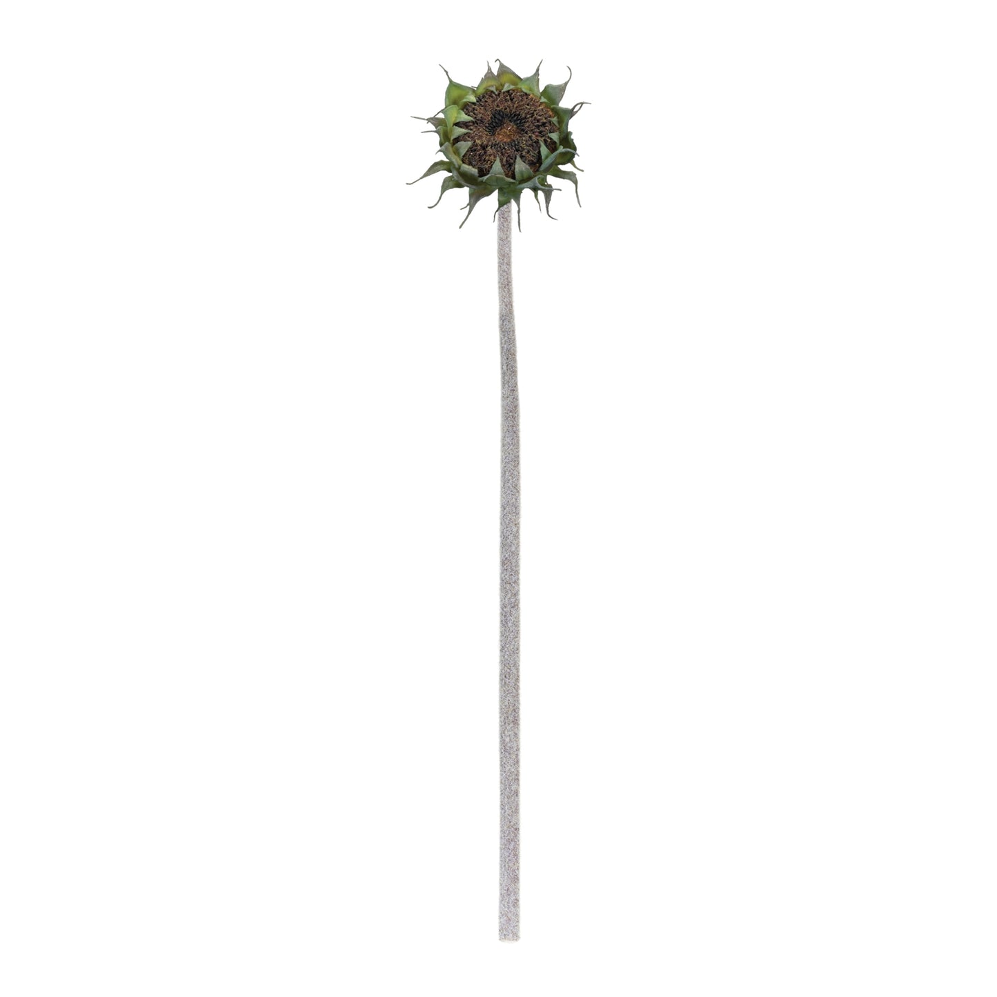 Brown Sunflower Stem (Set of 6) alternate view 2