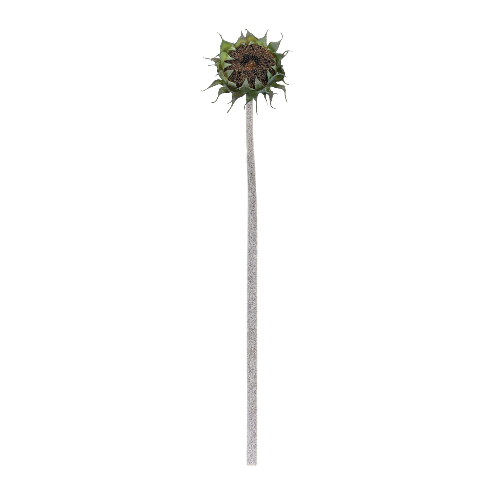Brown Sunflower Stem (Set of 6) alternate view 2