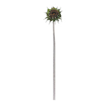 Brown Sunflower Stem (Set of 6) alternate view 2