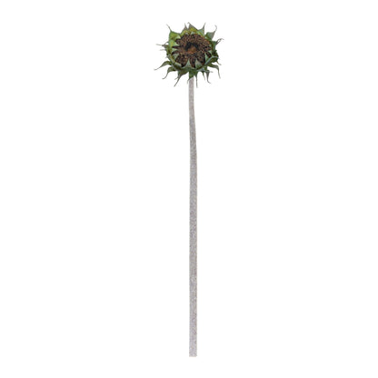 Brown Sunflower Stem (Set of 6) alternate view 2