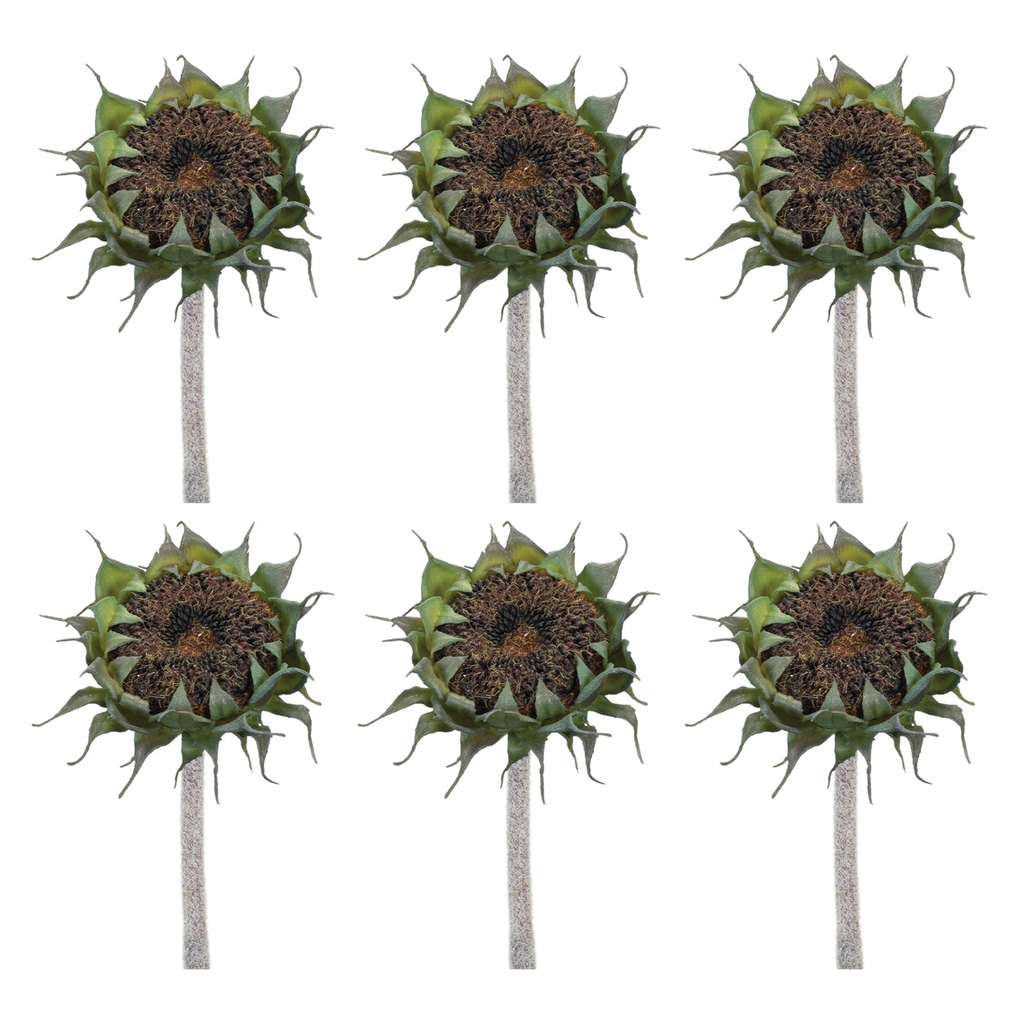 Brown Sunflower Stem (Set of 6) alternate view 3