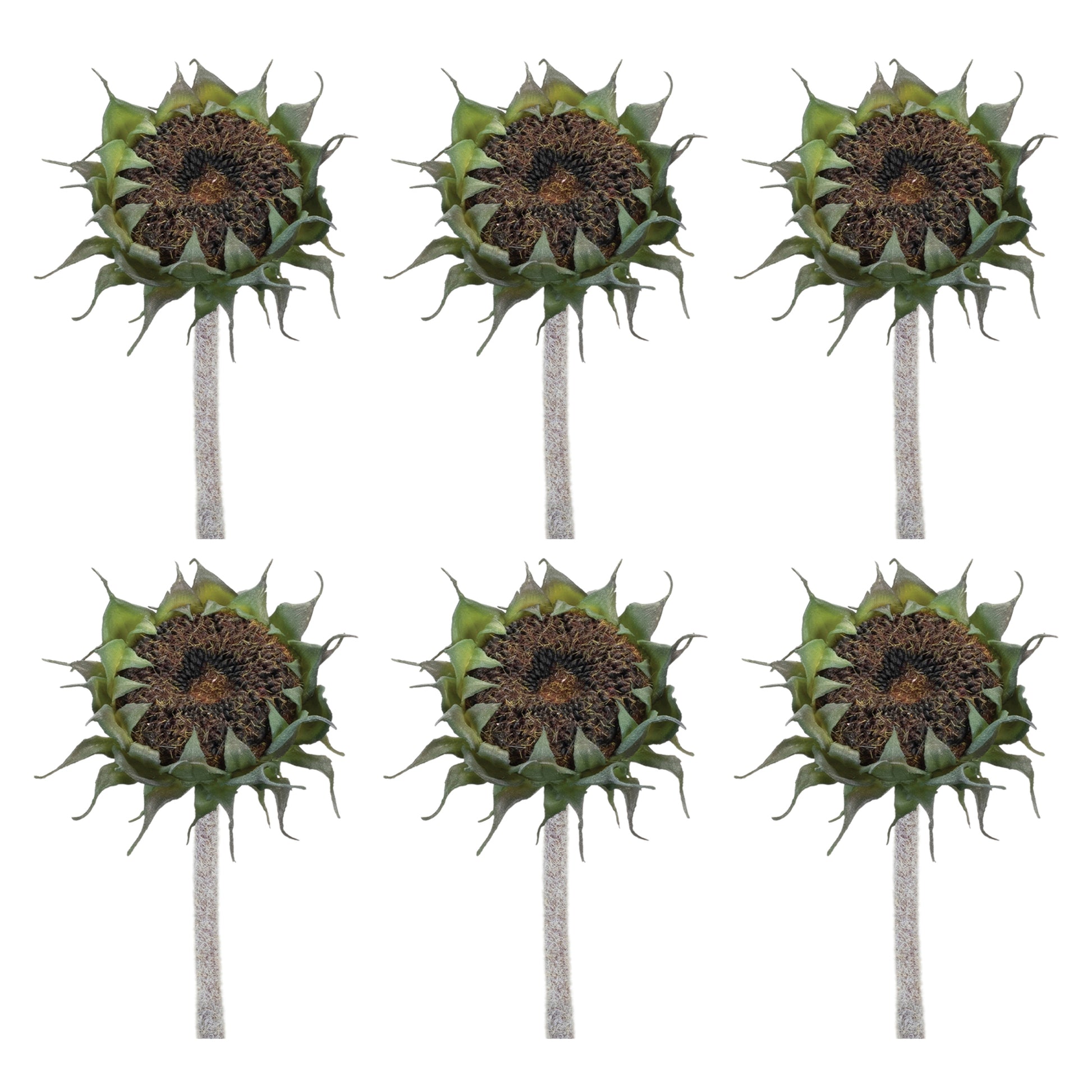 Brown Sunflower Stem (Set of 6) alternate view 3