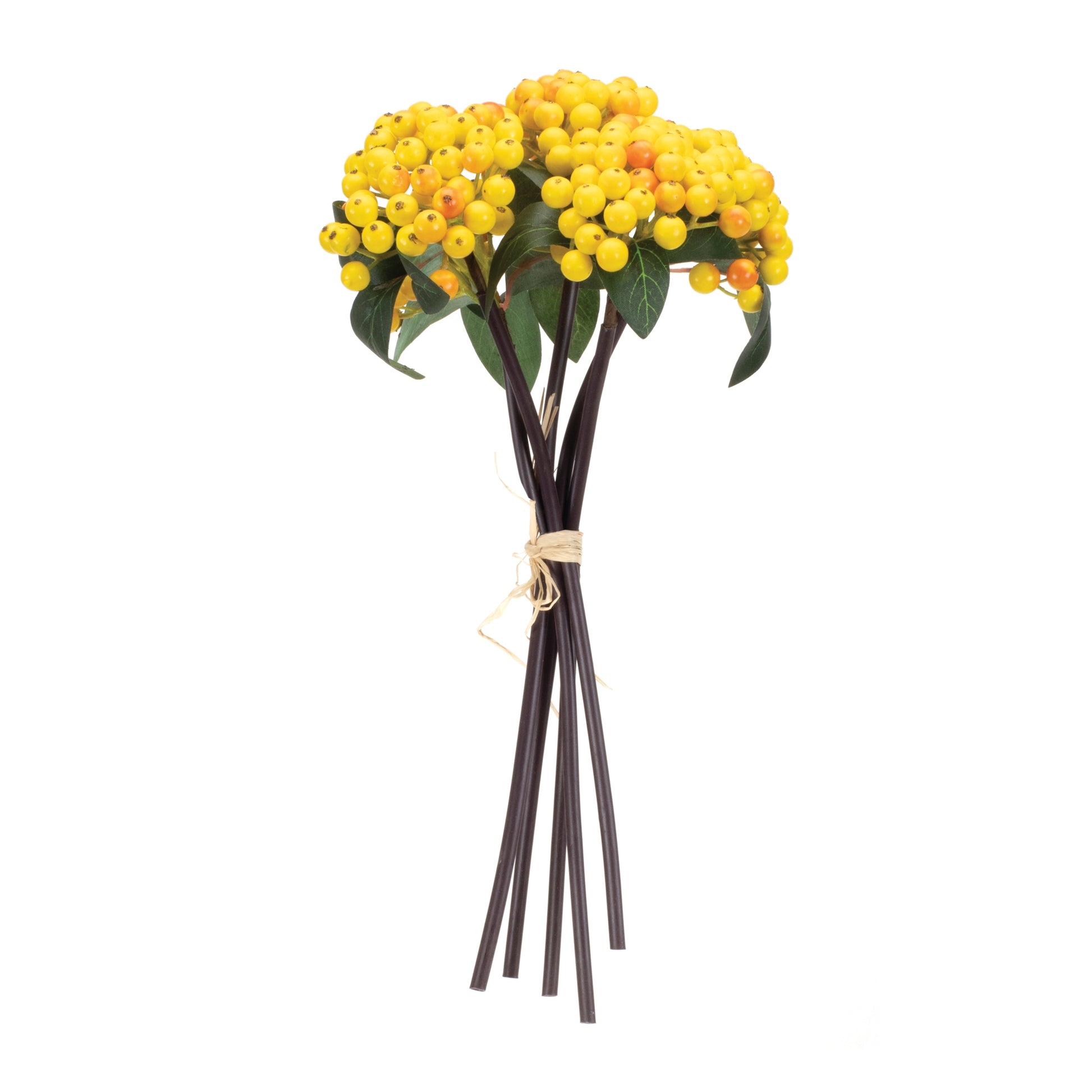 Yellow Berry Bundle (Set of 2) alternate view 2