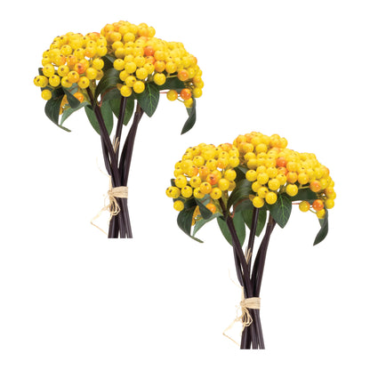 Yellow Berry Bundle (Set of 2) alternate view 3