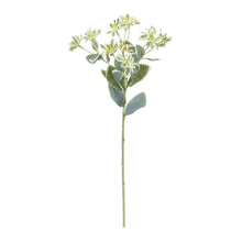 Euphorbia Floral Stem (Set of 6) alternate view 2