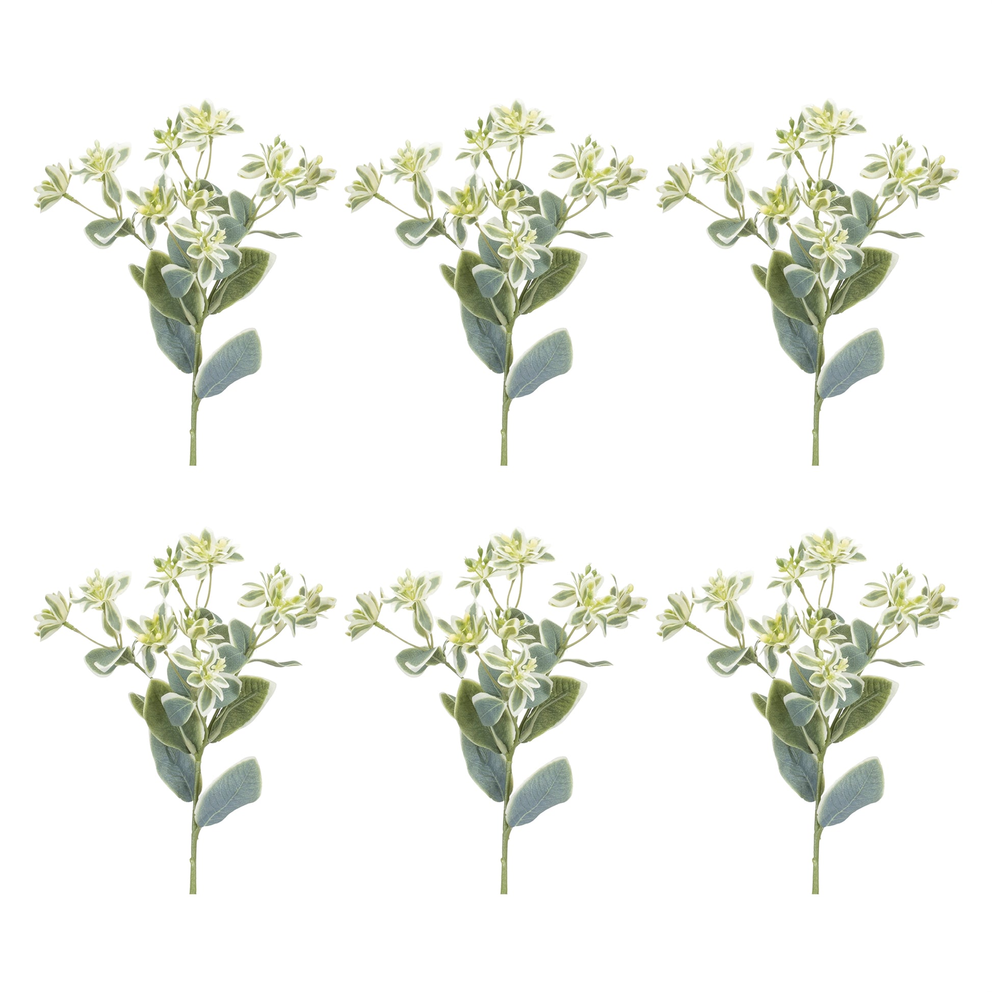 Euphorbia Floral Stem (Set of 6) alternate view 3